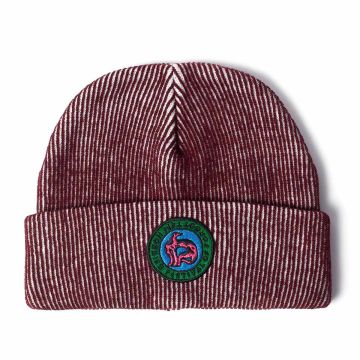 Forgotten Hobbies Beanie