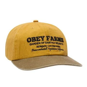 Farms 6 Panel Strapback