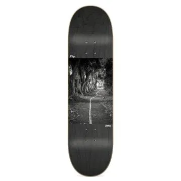 Arto Saari - Bikepath 8.5''