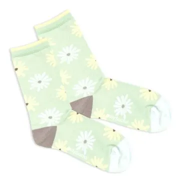 Delve Into Daisy