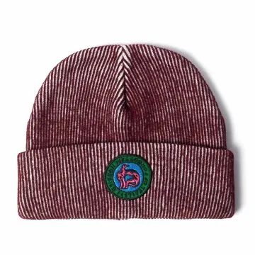 Forgotten Hobbies Beanie